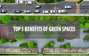 cars in green spaces