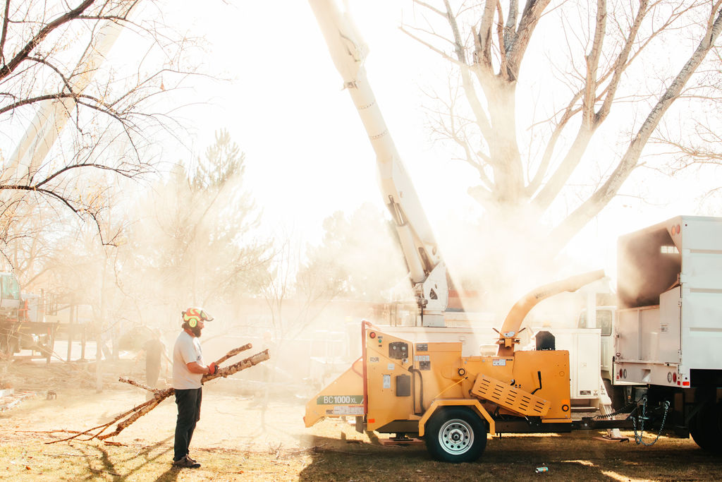 man chipping wood for tree service albuquerque