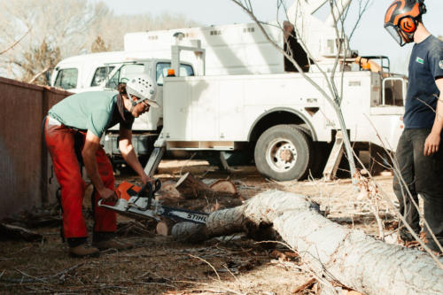 man cutting tree with chainsaw and helmet