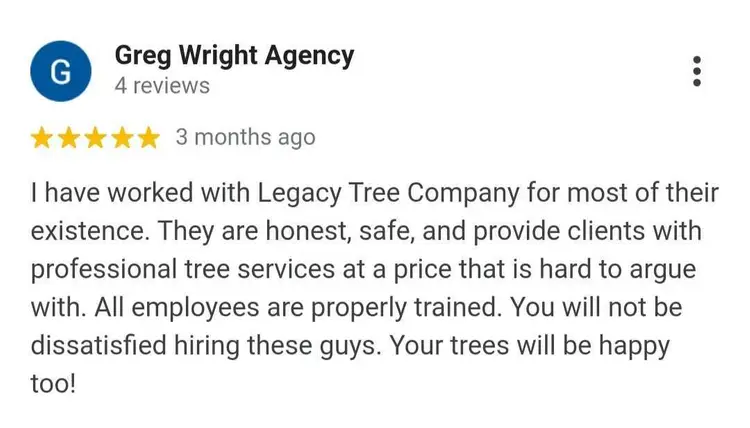 greg reviews tree service company