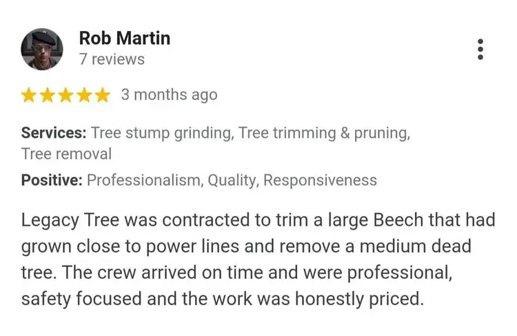 tree service company review from Rob