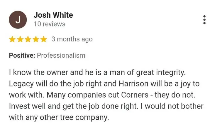 5 star review for tree service company