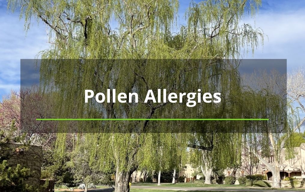 Tree Pollen Allergies albuquerque nm