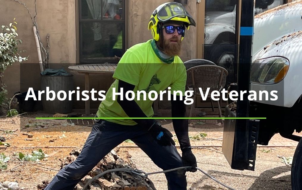 Arborists Honoring Veterans