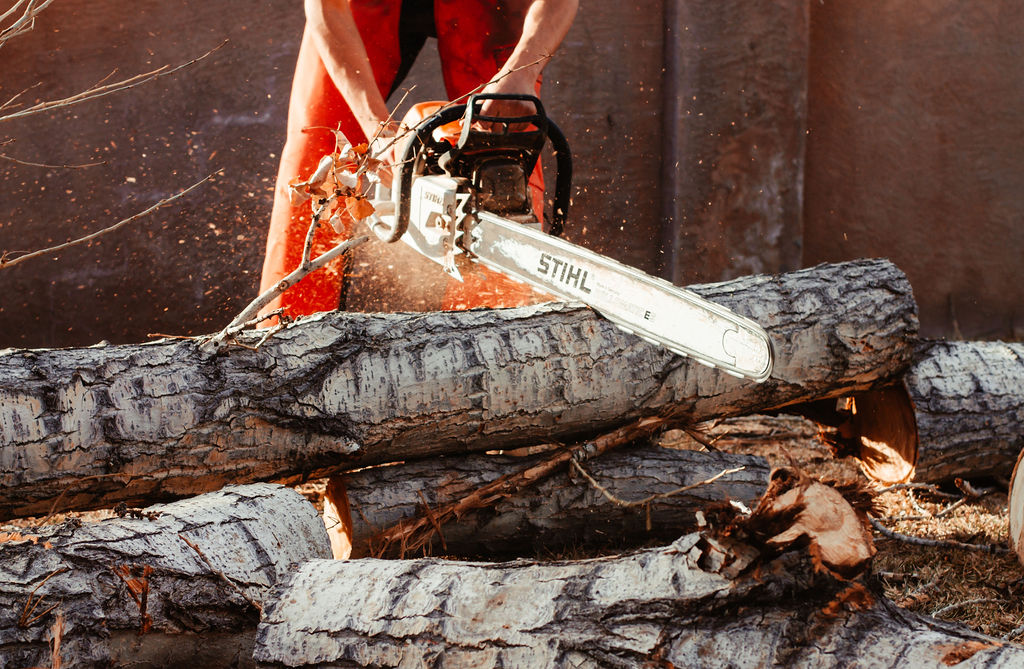arborist chain sawing a tree