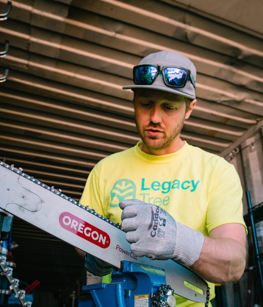 joe with chainsaw for tree trimming service