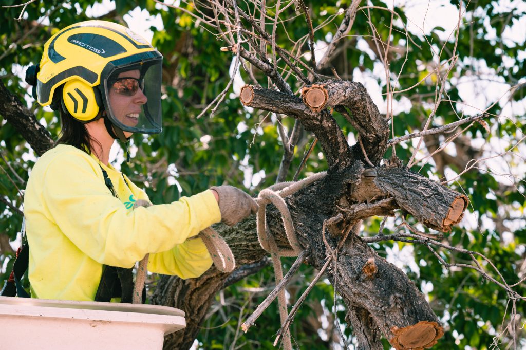 woman in Tree Planting In Albuquerque