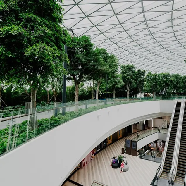trees inside commercial company in ABQ