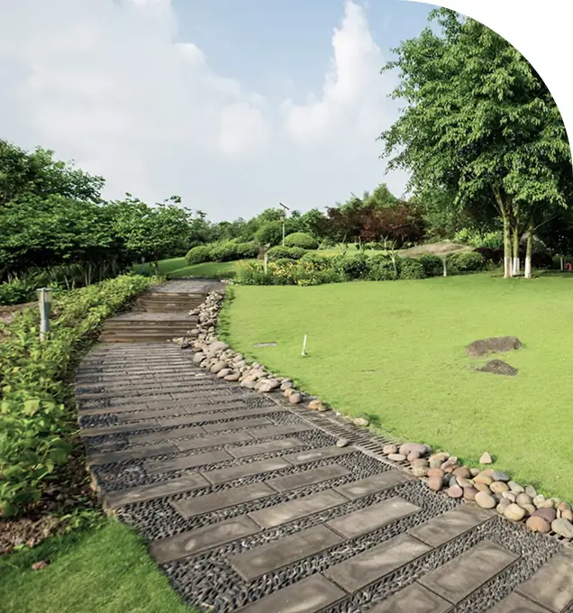 landscape designed walkway in Albuquerque