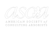 asca logo for tree service in albuquerque