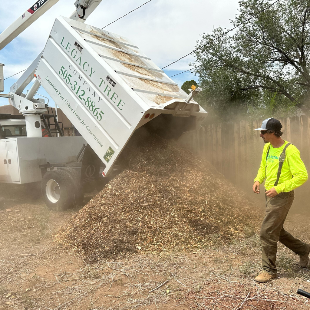arborist behind truck doing mulching in New Mexico
