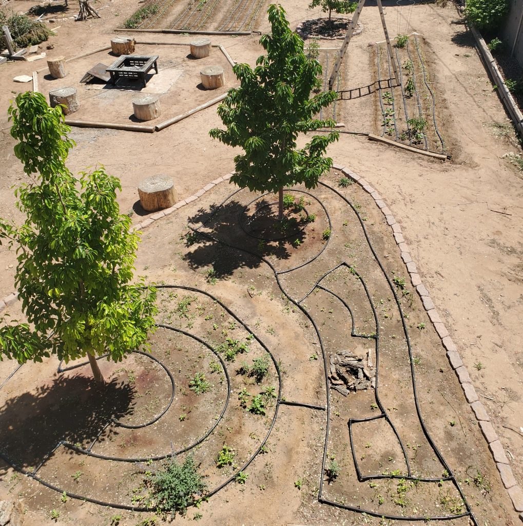 irrigation system in new Mexico installed by Legacy Tree Company