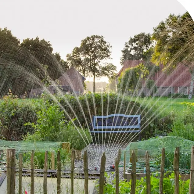 tree irrigation in Albuquerque NM