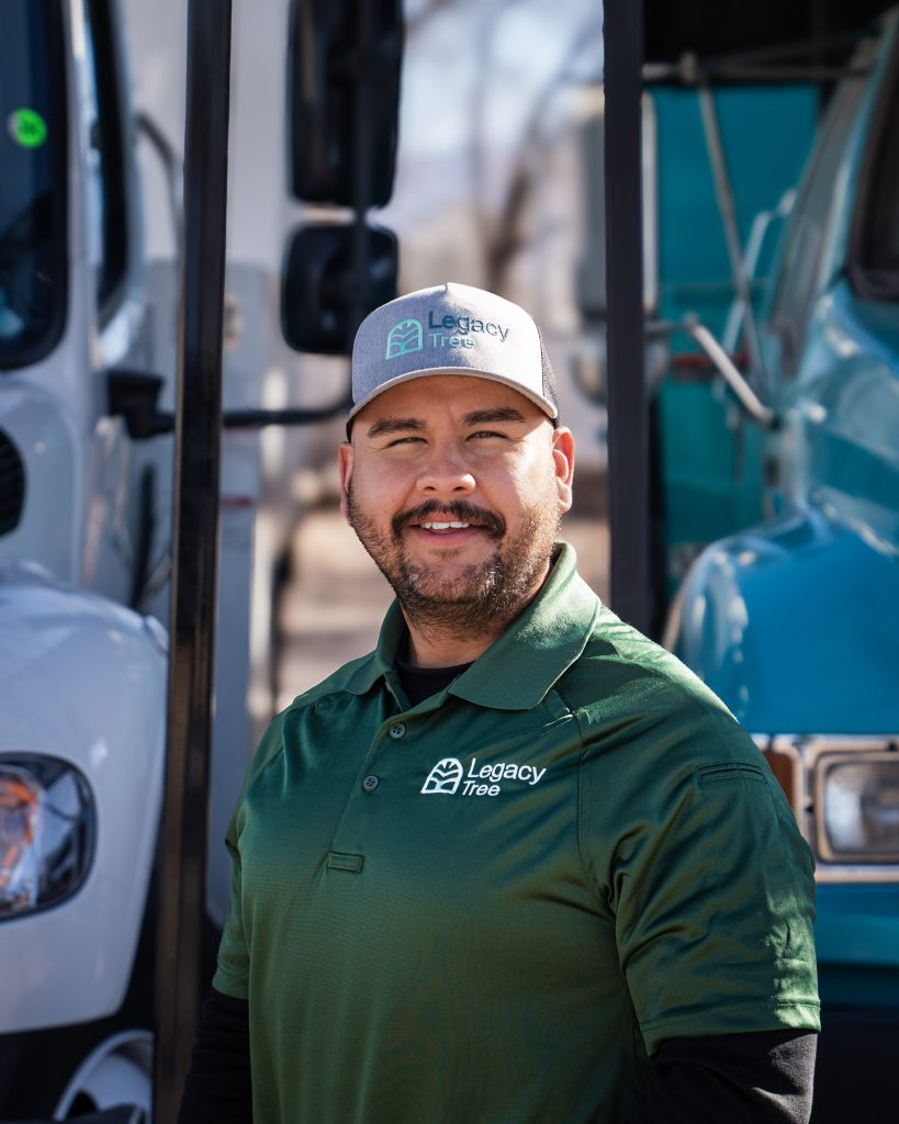 arborist providing Tree Removal Services In Albuquerque