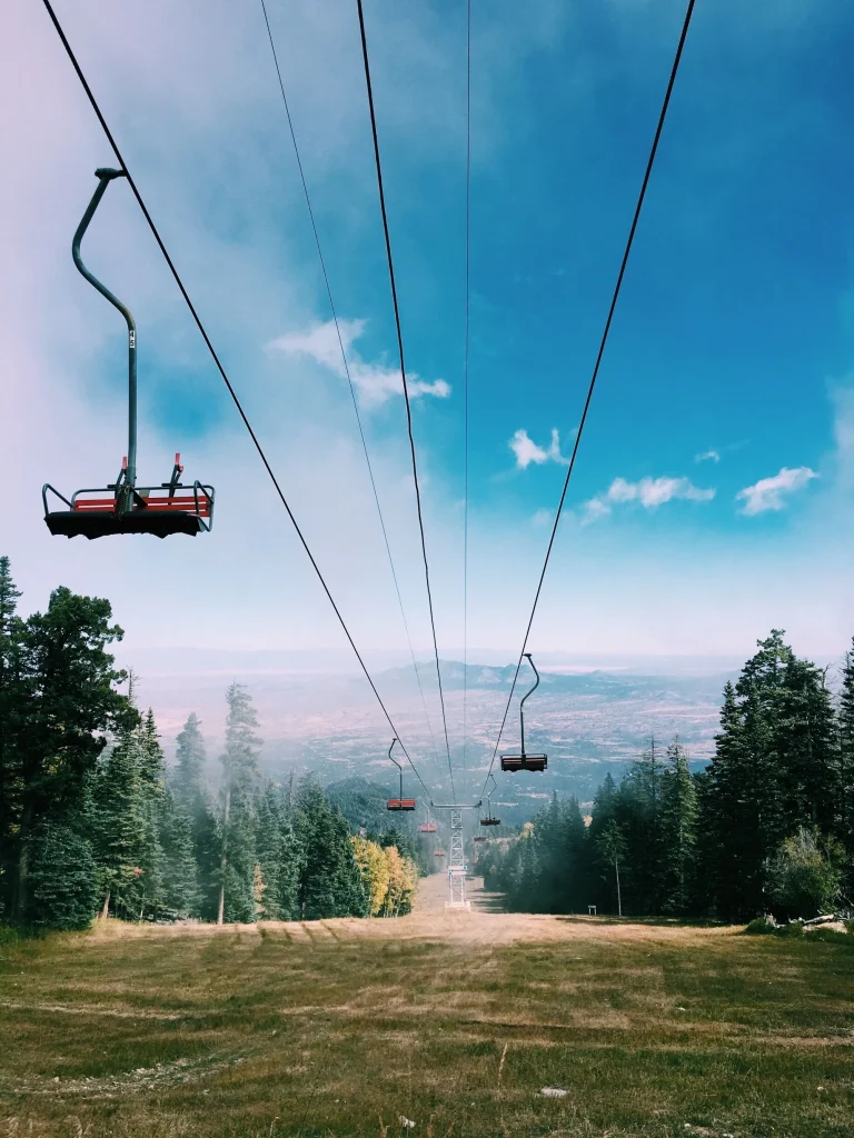 Tijeras and Cedar Crest tree service