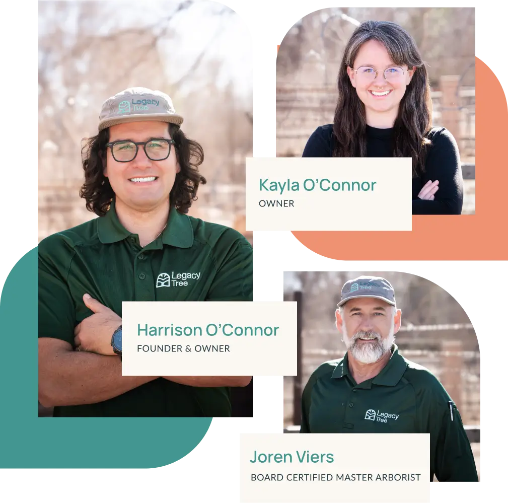 three smiling arborist with tree service in albuquerque