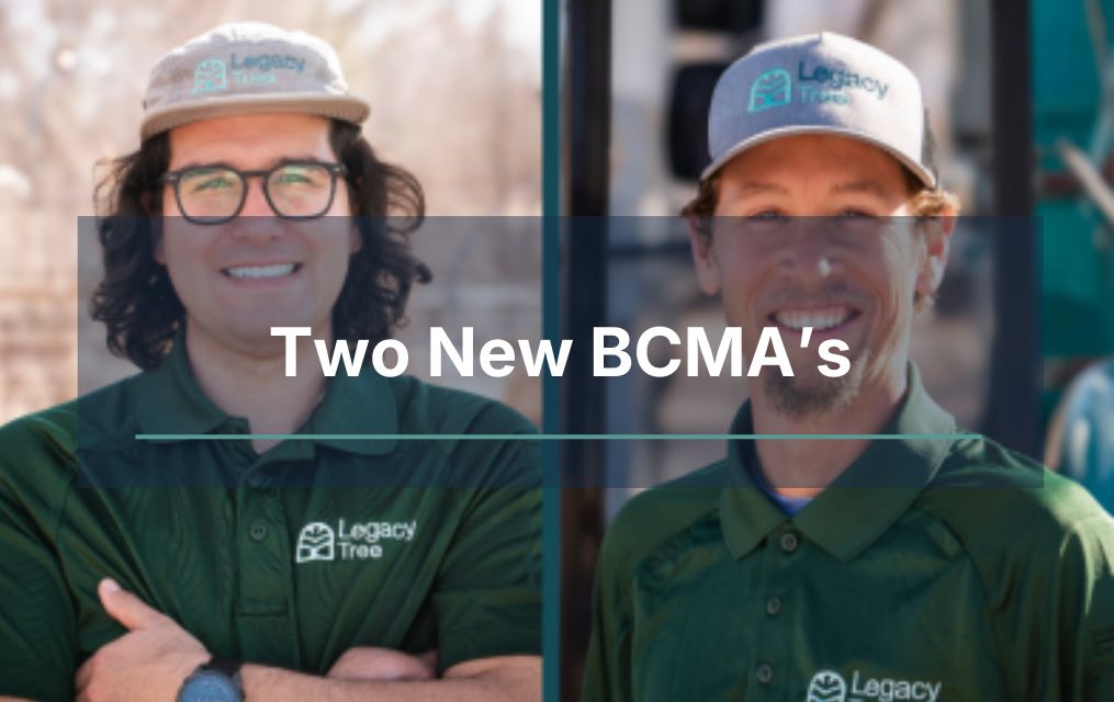 two BCMA in New Mexico