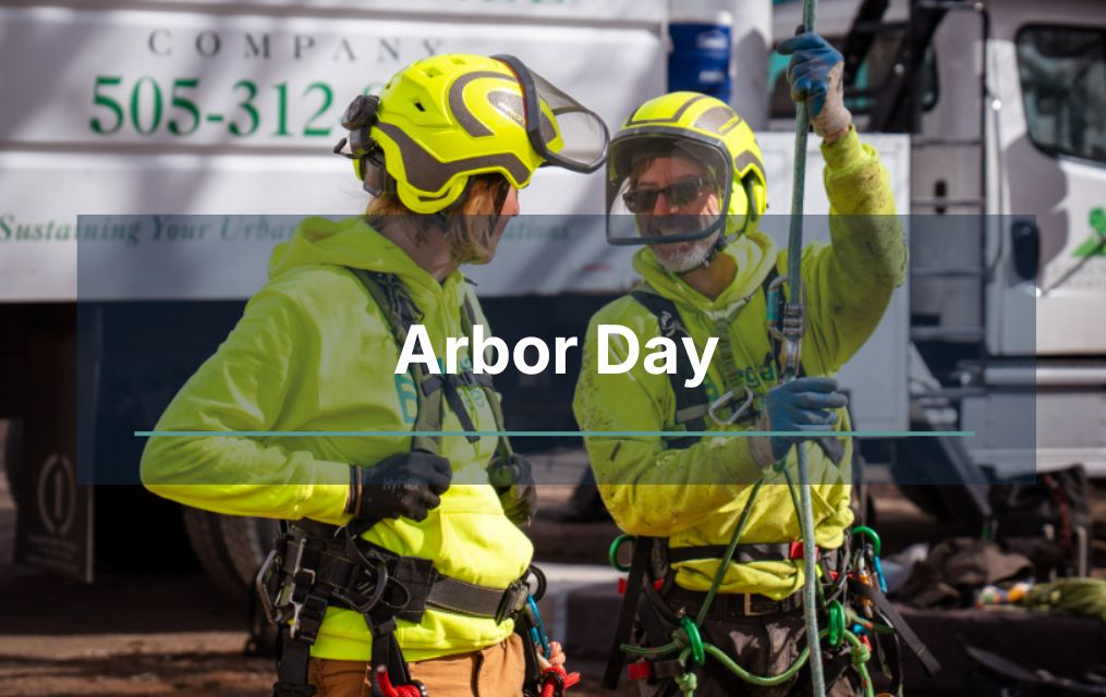 arbor day