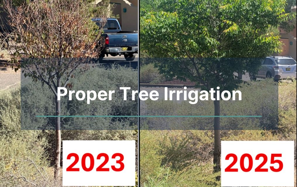 Tree Irrigation