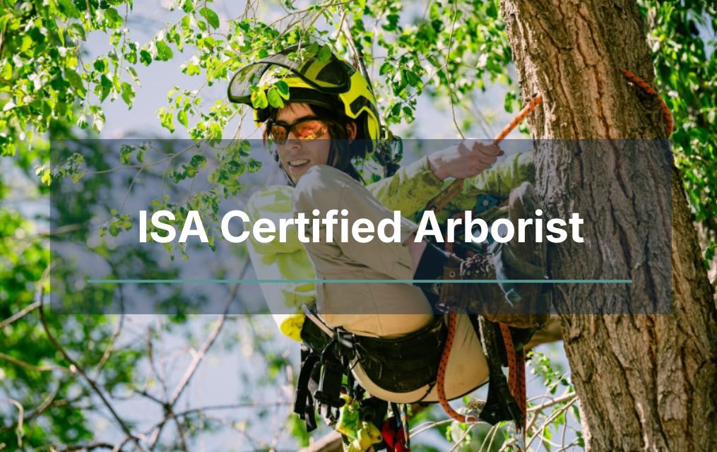 ISA certified arborist