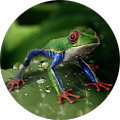 Miguel Sanchez Profile Image