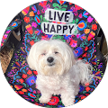 Roann Sexson Profile Image