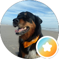 Faith Suzio Profile Image