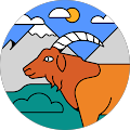 Nic Profile Image