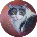 Mary Bresnahan Profile Image