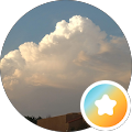 Laura Rollman Profile Image