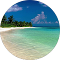 Southern Julip Profile Image